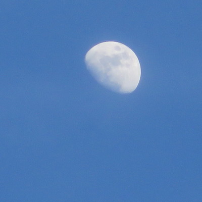 IMG_0004.jpg