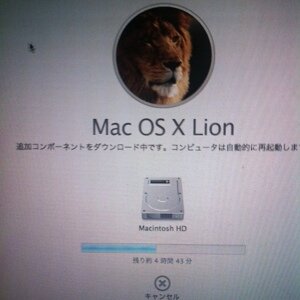 blogger-image-71958930.jpg